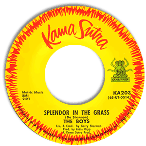 Splendor in the Grass/ Every Mornin'