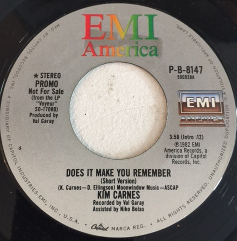  Does It Make You Remember/ Take It On The Chin 45 Record 