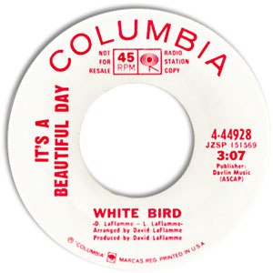 White Bird